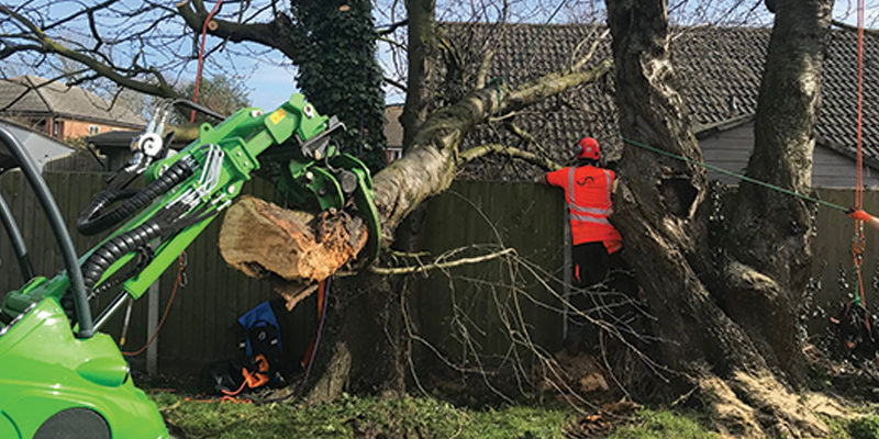 Flagship’s Microsoft & ESRI BI-enabled arborists