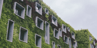 Building covered in grass