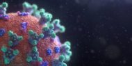 Visualisation of coronavirus